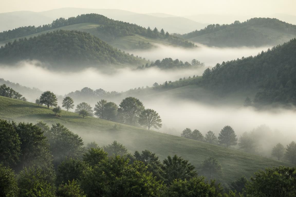 Morning fog, no plan